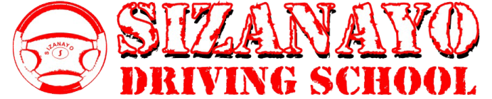Sizanayo logo